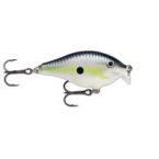 Scatter Rap Crank Shallow 05 HSD